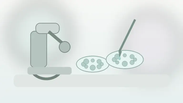 مراحل IVF و لقاح آزمایشگاهی در مسیر درمان ناباروری